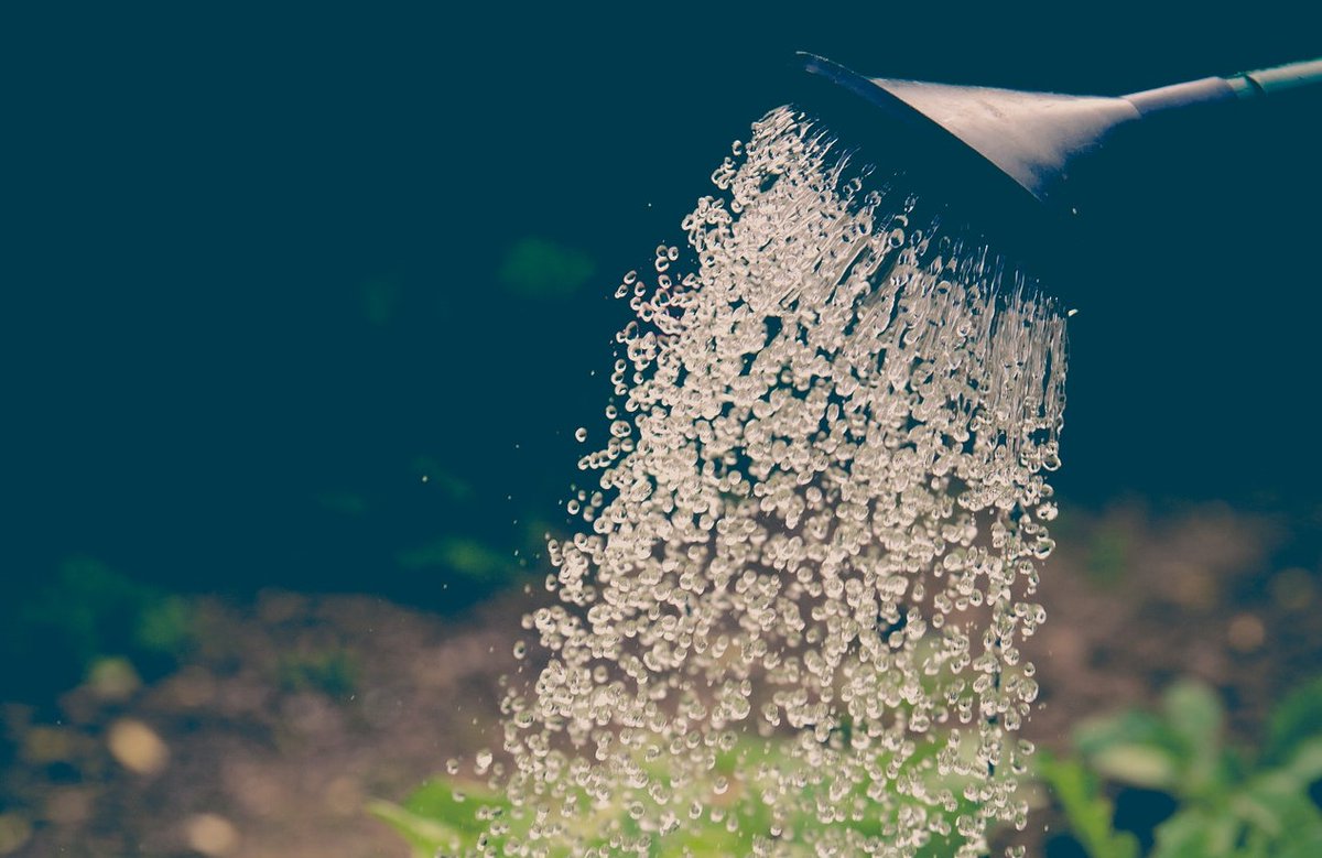 New SimBlog on paediatric DKA - derriforded.com/derrifoam-blog 

You can find there on all the SimFridays sessions from paediatric-theme September: asthma, sepsis, head injury and DKA. 

NEXT SIM: Friday 2nd Oct, ~11am in START area

<a href="/ashleighlowther/">Ashleigh Lowther</a>