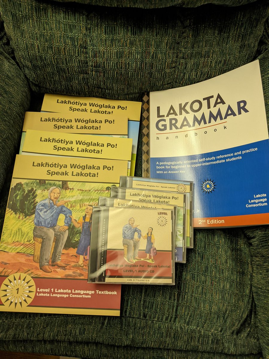 kadiera's tweet photo. We're learning, slowly but surely. A's new AAC boards in Lakota are even slower, because I have to learn first. #nativehomeschooler #indigenoushomeschool #lakotalanguage #AAC #specialneedshomeschool https://t.co/b72h00FeST