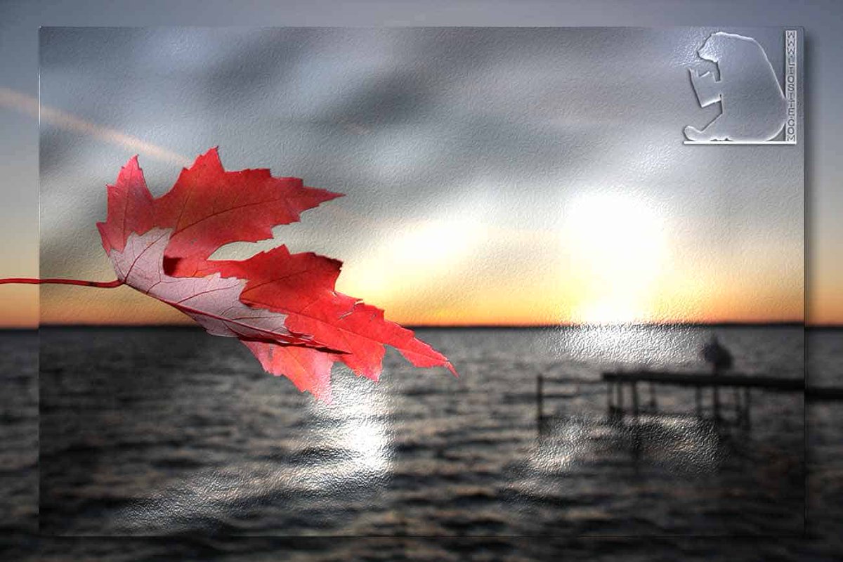 Patrizia0758's tweet image. Un tempo, era d&apos;estate,
che si destava la mia fantasia.
Inclino adesso all&apos;autunno
dal colore che inebria;
amo la stanca stagione
che ha già vendemmiato.
Niente più mi somiglia,
di quest&apos;aria che odora
di mosto e di vino ...

V.Cardarelli

#poesieperlasera
#VentagliDiParole