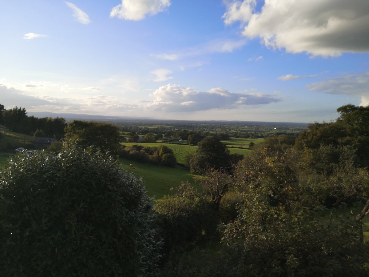 Our faithful companion heartily approves of the welcome treats in our room <a href="/Pheasant_Inn/">The Pheasant Inn</a> &amp; gorgeous view too #birthdaytreat