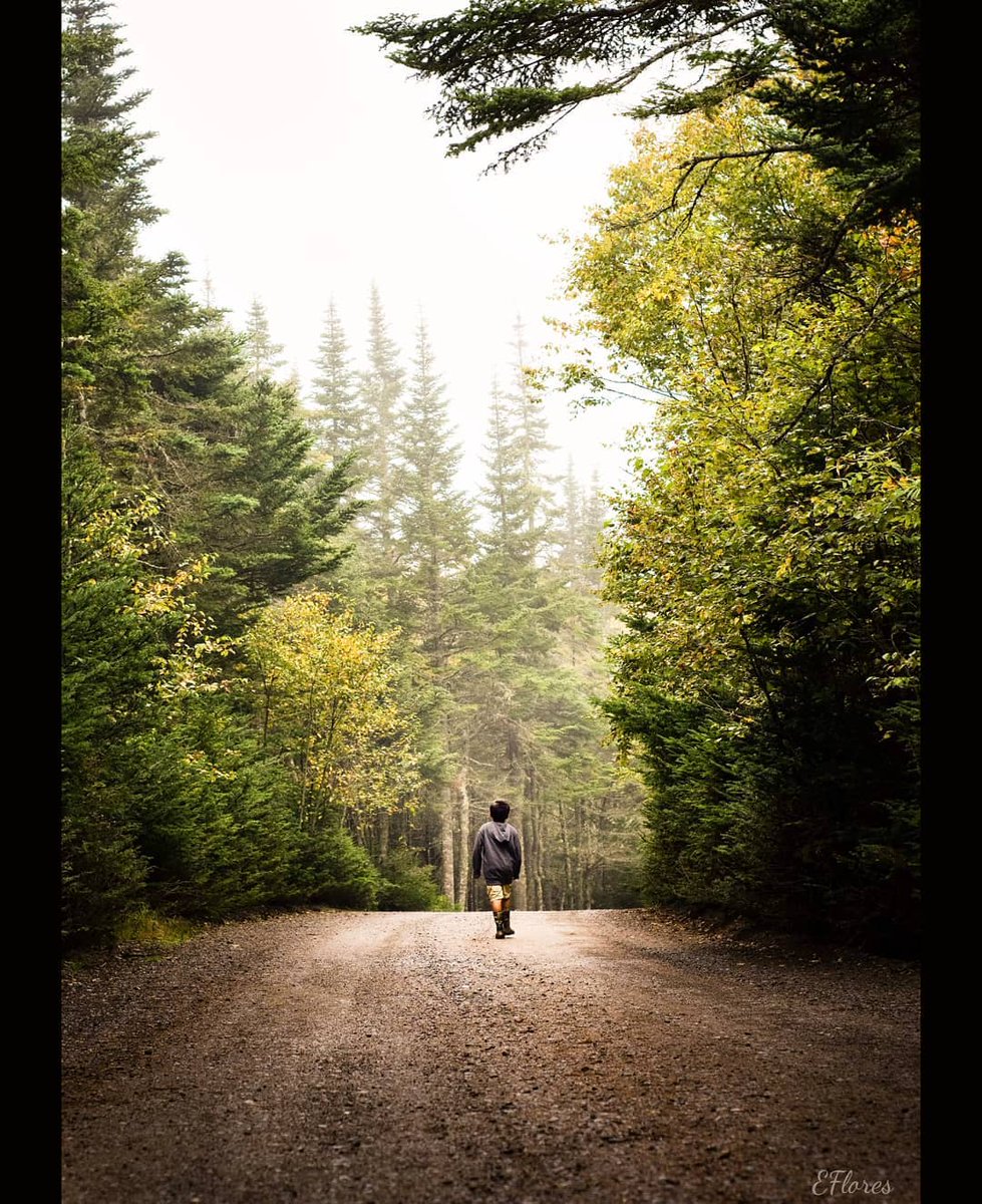 VisitSaintJohn's tweet image. How gorgeous are these shots? 😍

Eunice Flores (eflores . photography on Instagram) has taken over the Discover Saint John Instagram Feed and her photos are incredible! Be sure to check it out before she finishes up on Monday.

#SaintAwesome #ExploreNB #takeover