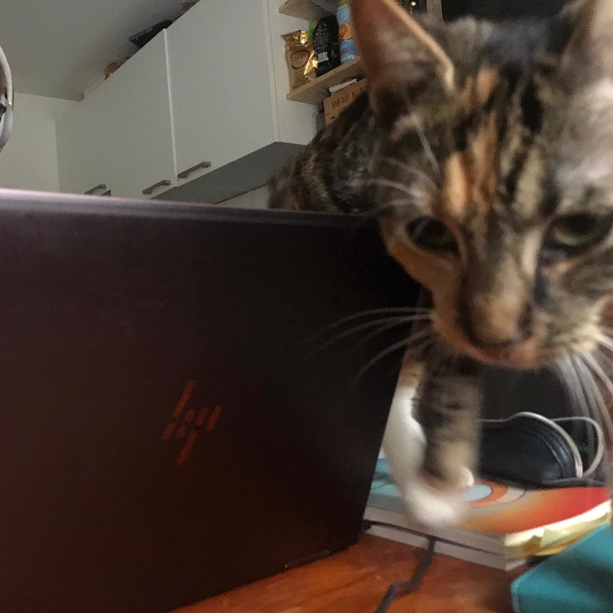 Sandra van der Hel tweet media