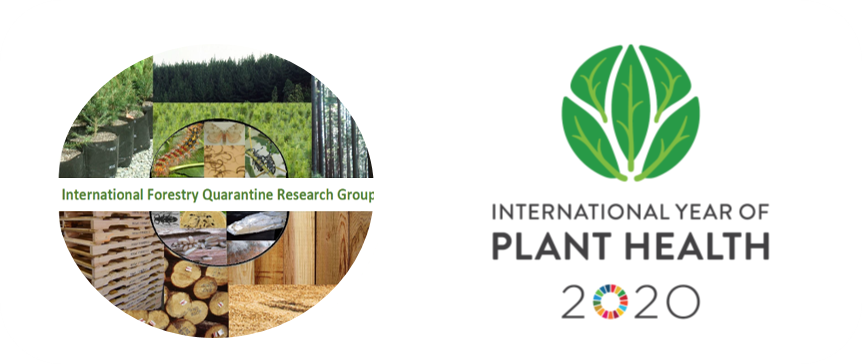 ForestryGroup's tweet photo. Great discussion today at the IFQRG Virtual Symposium on how we can use genomic tools to detect and prevent movement of pests with wood products without hindering trade. Thank you Angela Dale FPInnovations and Richard Hamelin UBC and University of Laval for their presentations. https://t.co/S2Mejh8aGQ