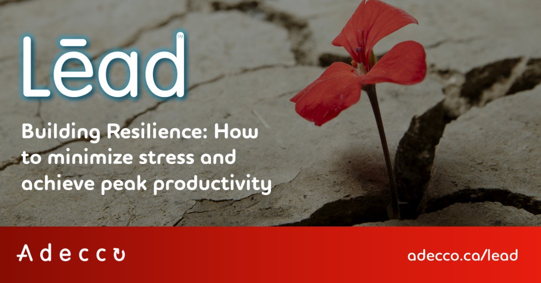 AdeccoCanada's tweet photo. Help your employees build #resilience at work with these tips to empower employees and improve their ability to cope with stress https://t.co/u6hspFt9rV
#LeadMag #employers #business #entrepreneurs #hr #workplacewellbeing #workplacewellness #workplacehealth #workplaceculture https://t.co/JaYsdpeljt