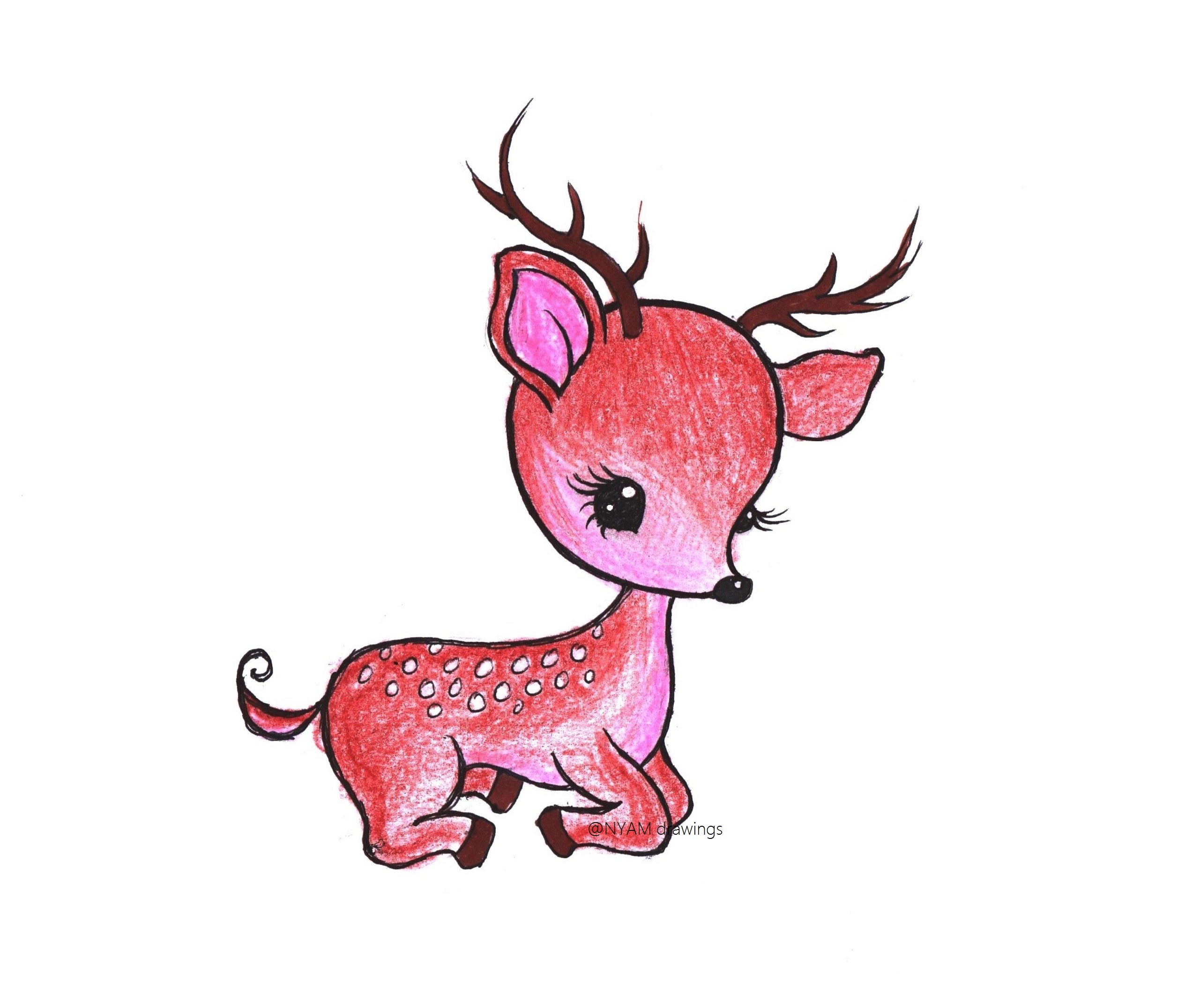Deer cheap drawing color