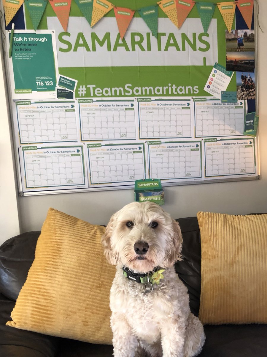 patpjwalker's tweet photo. Challenge 26 HQ has been updated to include our next @samaritans challenge 💚 #MentalHealthAwareness #bekind #Samaritans https://t.co/La7W0I2fsl