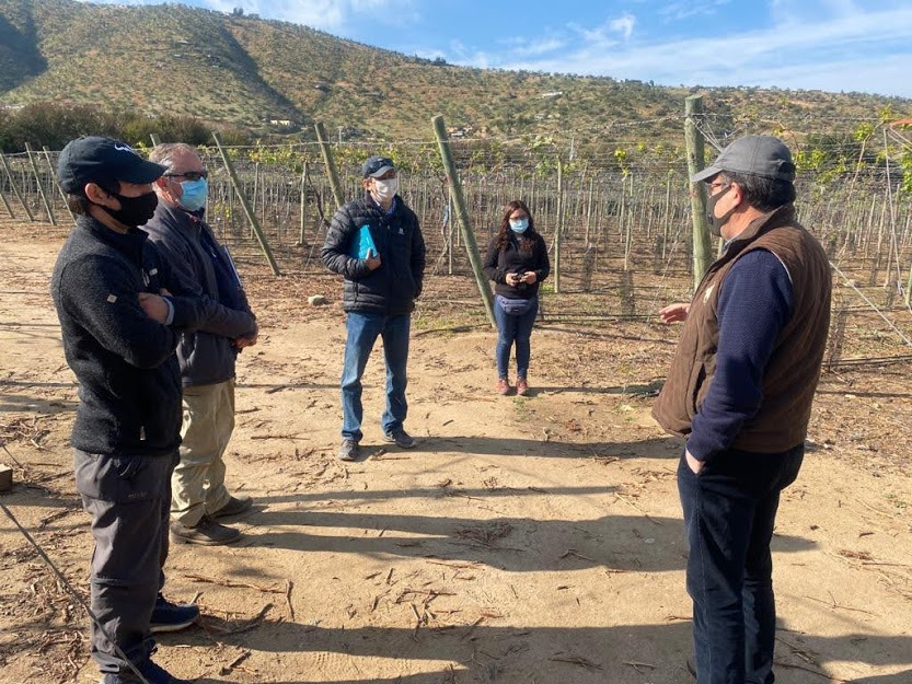 ConsorcioFruta's tweet photo. Le damos la bienvenida a Agricom a nuestro Consorcio Tecnológico 🍏🍇🍑🍒👩‍🌾👨‍🌾 Trabajaremos juntos para obtener nuevas y mejores variedades de frutas para Chile. https://t.co/2vCwqdu03s