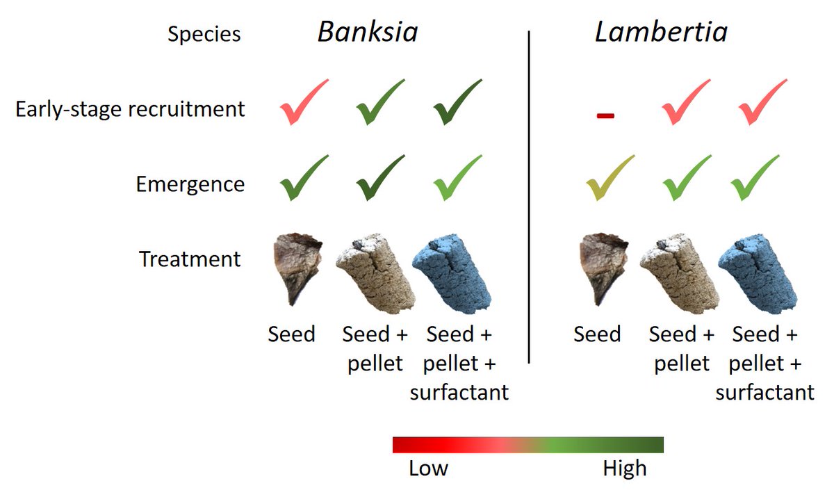 📰Published Today📰
Extruded seed pellets containing surfactants show promise in seed-based shrub restoration #seedenhancement🌱#restoration 

Research by <a href="/alisonlritchie/">Alison Ritchie</a> <a href="/TEricksonSeed/">Todd E Erickson</a> &amp; Stevens besjournals.onlinelibrary.wiley.com/doi/full/10.10…