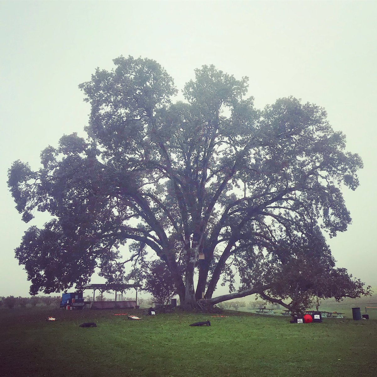 We are pumped for another great event w/ <a href="/EOPortland/">EO Portland</a> tonight on Sauvie Island  - games are set up and ready to go!