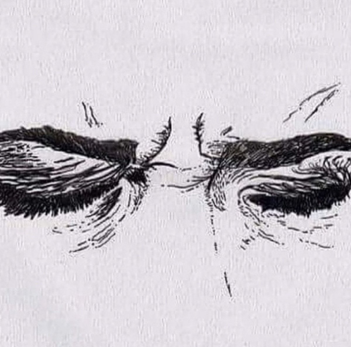 - مازال صاحبي يُفضفض عن حزنه حتى نطق تِلك الجملة التي اختصر بِها حديثه كلّه:

"ولِشدّة ما عانيته مؤخراً مِن بؤس وتعب، اعتقد بأنني الشخص الوحيد الذي هالاته السوداء تخرج بالقرب مِن قلبه وليسَ أسفل عينيه"