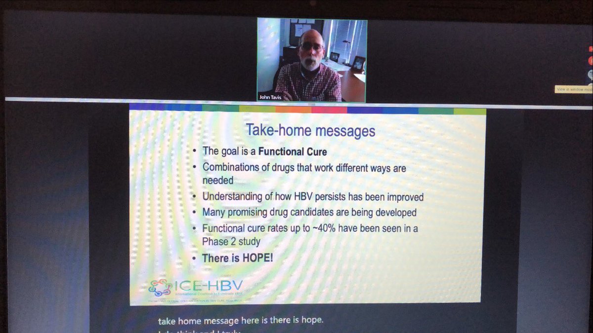vasiliki_pard's tweet photo. Professor John Tavis during the webinar on the Hepatitis B Cure. Thank you for your presentation!!! @ICE_HBV #HBV #HBVcure #antivirals https://t.co/eOEQpjQlt4