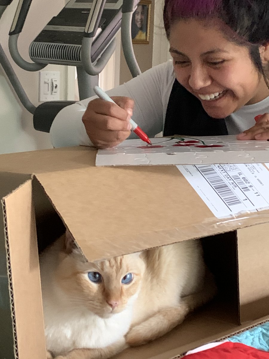 MMoeling's tweet photo. Having fun with @AstellasUS virtual #ChangingTomorrowDay #CommitingForChange -- not only was the family involved, but also, our cat loved the shipping box! Winning! https://t.co/qi3fiEofKW
