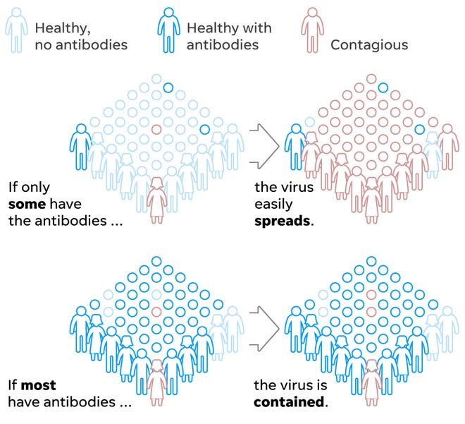 Herd immunity a type of protection that happens when enough people in a population are immune to an infectious disease, like the influenza virus, because of prior exposure (either infection or vaccine). (2/8)