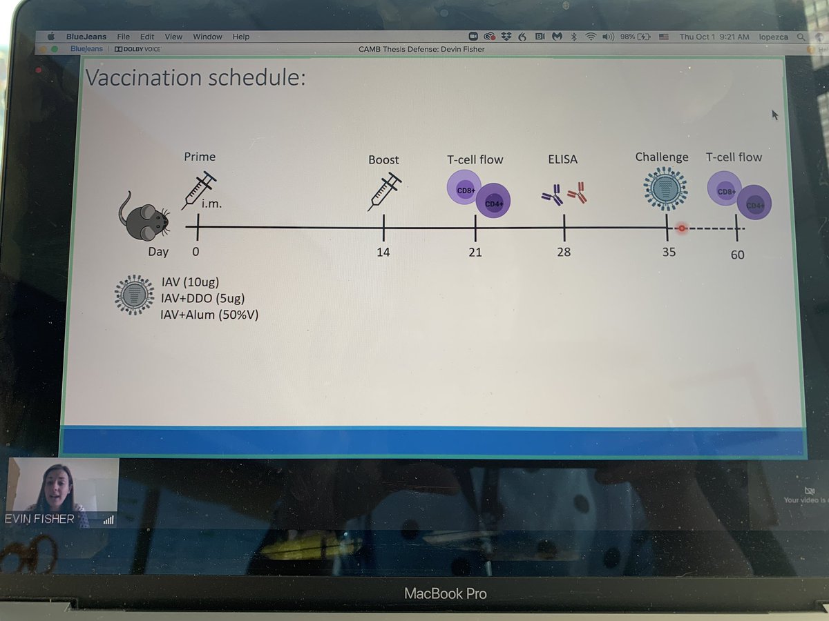 Congrats Dr Fisher @DevinScientific for a wonderful defense today nicely summarizing our studies using defective viral genomes-derived RNA as vaccine adjuvant. Cheer from the LopezLab both past and present.