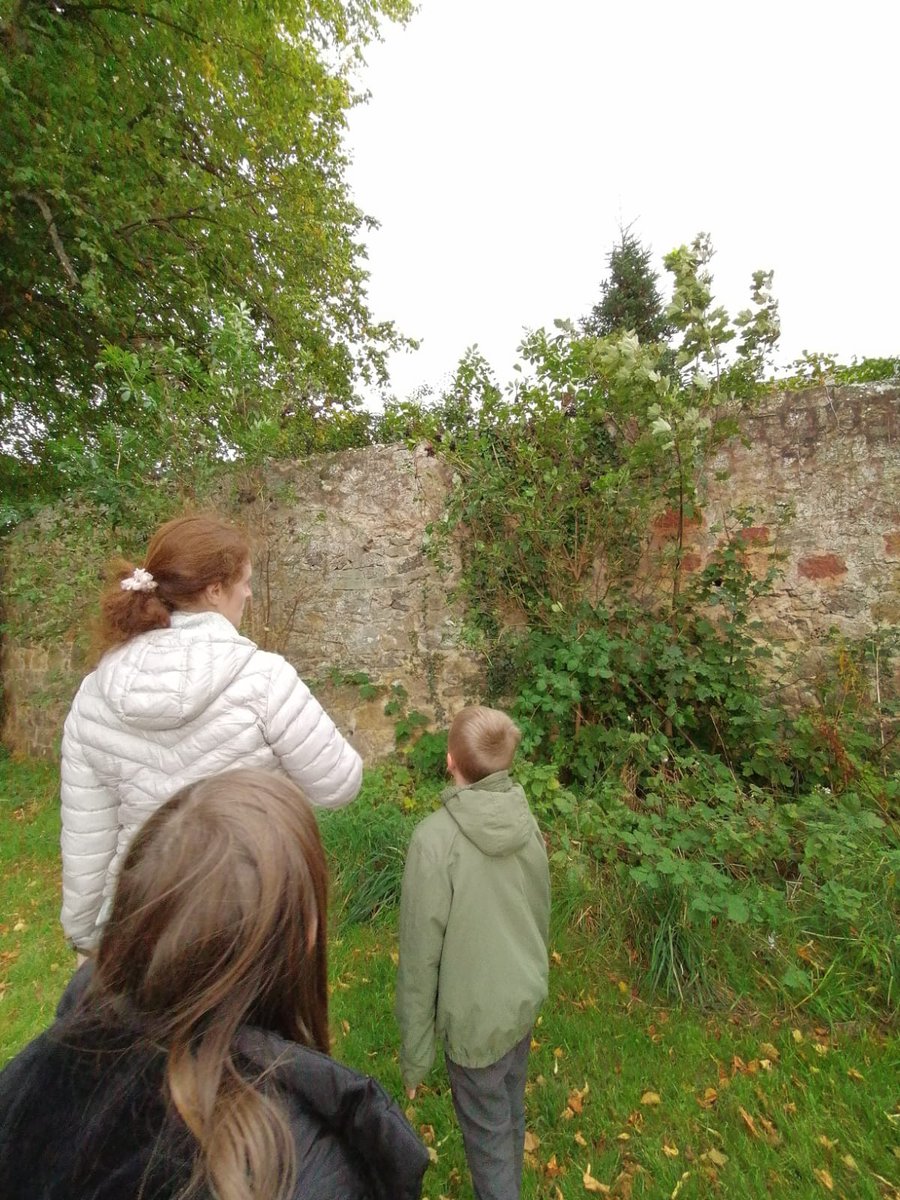 haddington_prim's tweet photo. Our Nurture Groups are focusing on the Wellbeing Indicators - this week we have been focusing on being  ACTIVE. We enjoyed a walk along the River Tyne with our 4 legged Nurture friend 🐾exploring our local environment, wildlife and nature. https://t.co/dbFtoIie8p