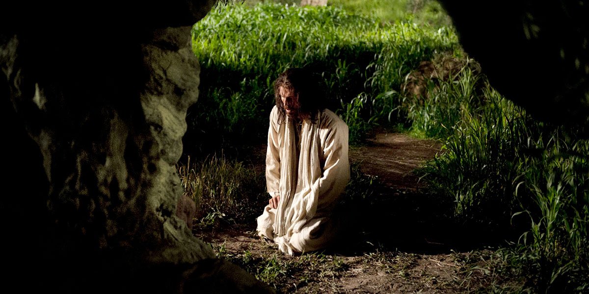 DocAndCov's tweet image. He knows what feeling alone is like..... then some

#TalkToHim