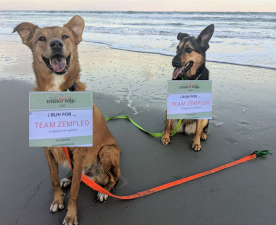 ZempleoMBE's tweet photo. Thank you to MitoAction for hosting a great #energywalk! Zempleo hosted a month long event in September where we asked our employees take pictures of themselves getting outside and getting physical. Here are more pictures of our employees and their furry friends! #moveformito https://t.co/TGANPQqq3z
