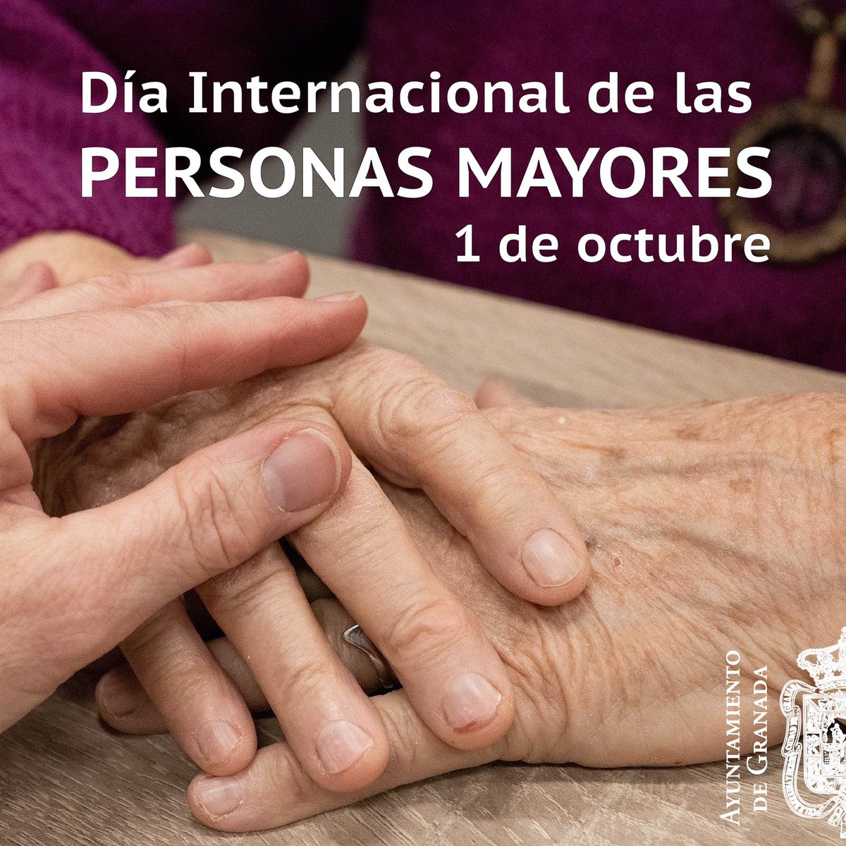 aytogr's tweet photo. Hoy 1 de octubre se conmemora el #DíaInternacionalDeLasPersonasMayores.
Nuestro reconocimiento y cariño a todas esas personas que durante toda su vida se han sacrificado y que en muchas ocasiones han sido el escudo durante varias crisis . 
#GRXHumana https://t.co/IZFfjS9wdi