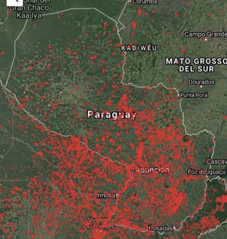 Paraguay is facing one of the harshest drought seasons in recent years, a situation that becomes even more tragic with the spread of fire outbreaks in different parts of the country
