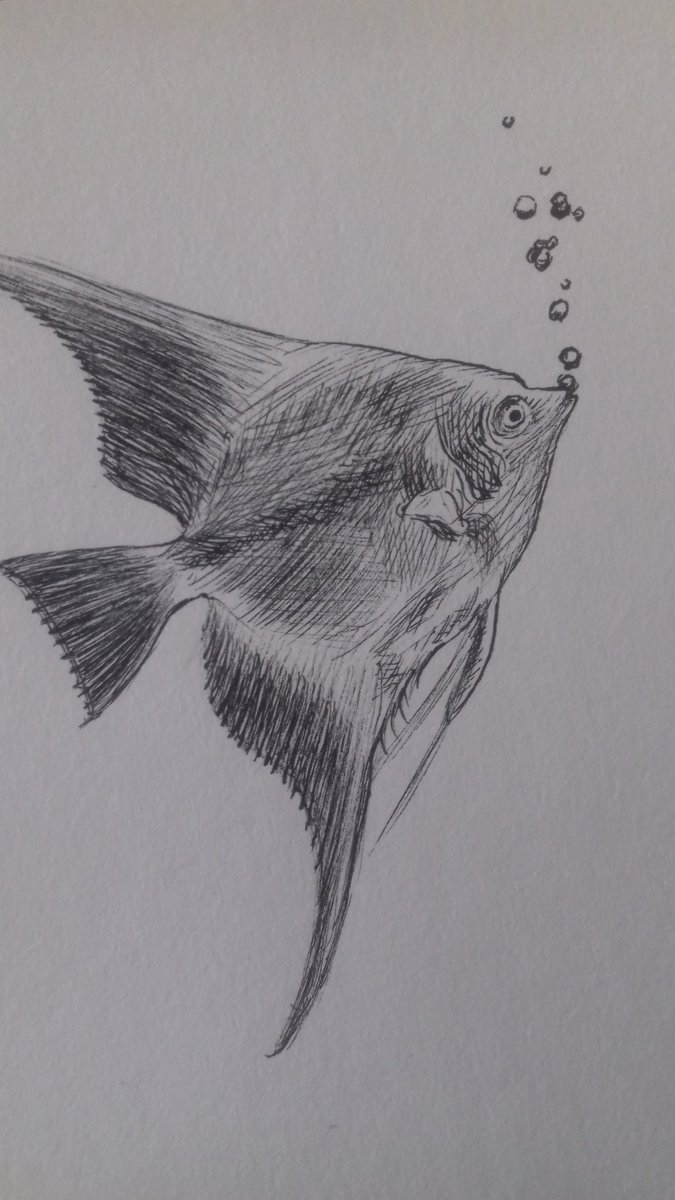 #inktober And so it begins.... ;)