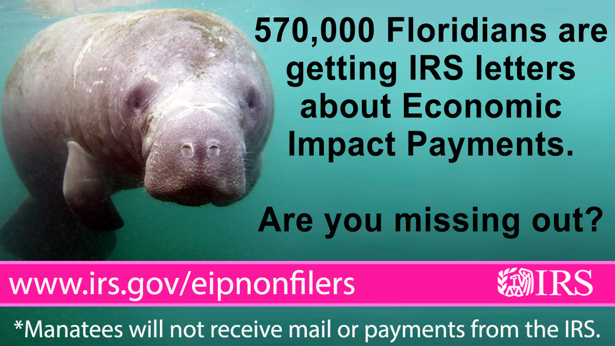 IRSnews tweet media