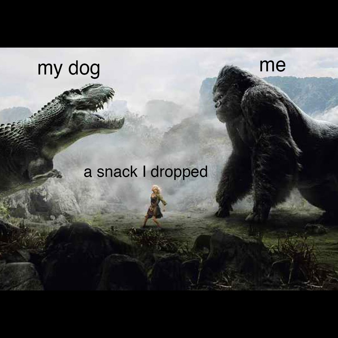 it's going down 👏