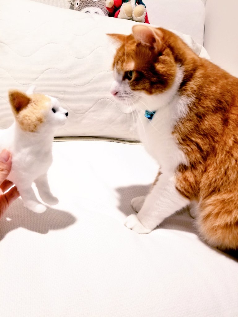 Twoucan 猫好きな人と繋がりたい の注目ツイート イラスト マンガ コスプレ モデル