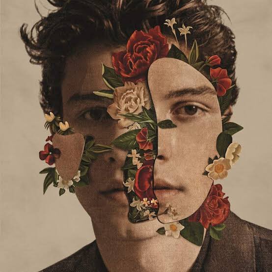 best of shawn tweet media