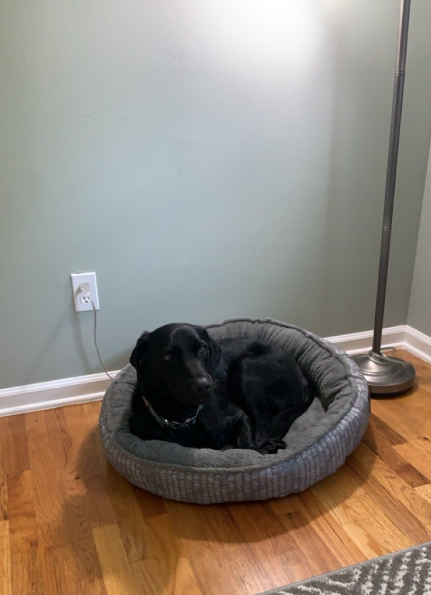 Same <a href="/_MrsWebster_/">Shannon Webster</a> 😍