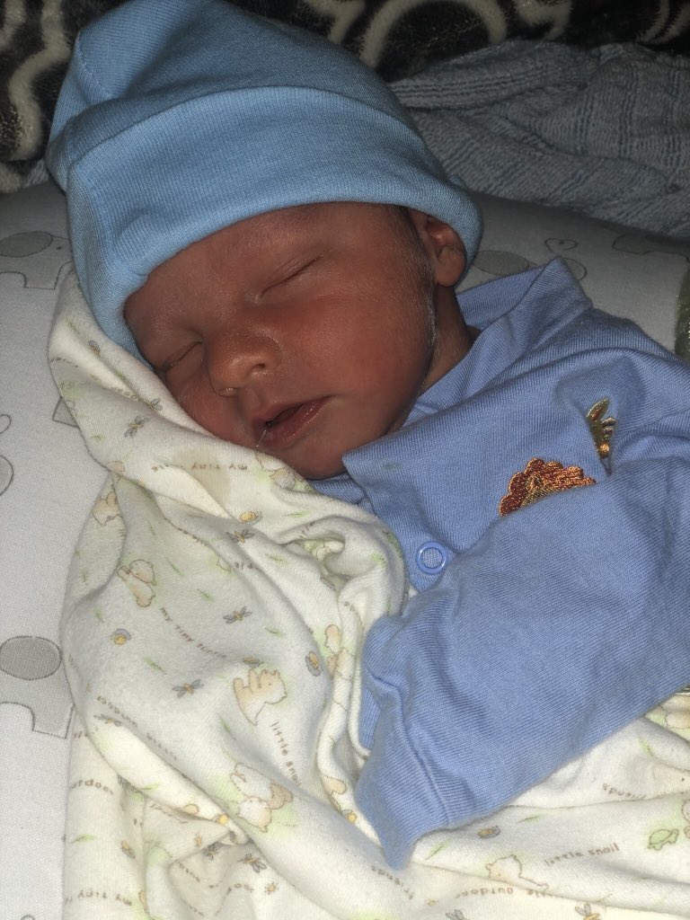 Elizabeth Landers tweet media