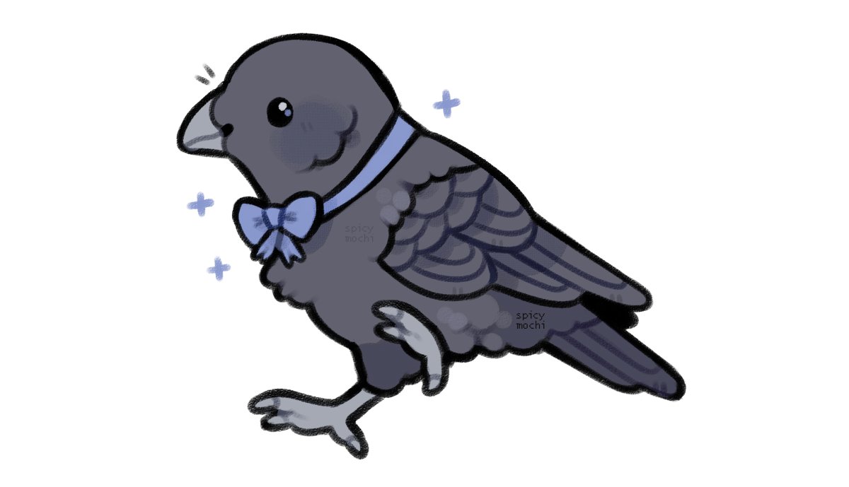 spicy_mochi's tweet photo. crow wearing a bow https://t.co/Sv0g9ciKNr