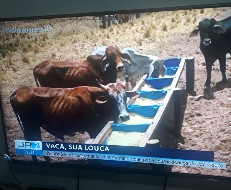 Graciosa Comunicações tweet media