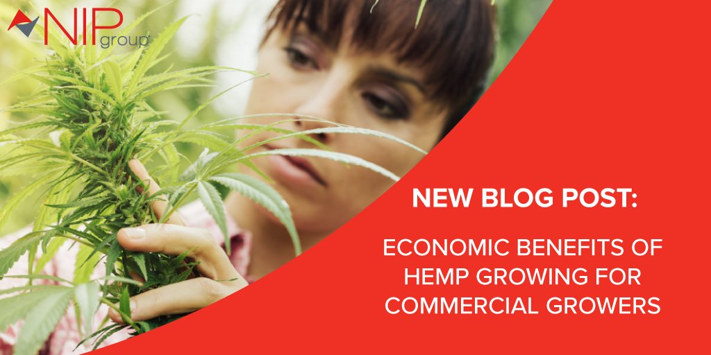 Check out our latest blog – “Economic Benefits of Hemp Growing for Commercial Growers.” Read more here: bit.ly/30lmAcv #hemp #greenhousegrower