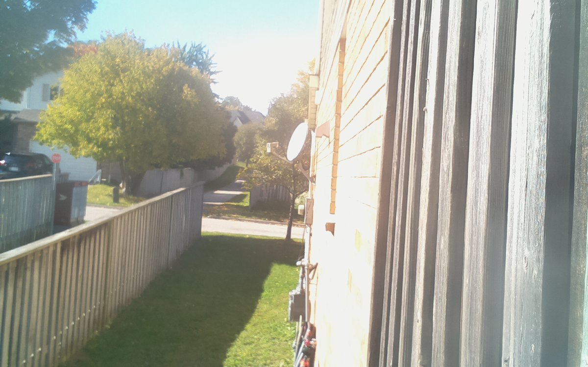 KWGeeseCam Status: 20.2C 1860.8Lux (Internet by <a href="/WorldlineCanada/">WorldlineCanada</a>)