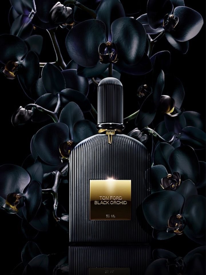 FragrancesByTee's tweet photo. B L A C K  O R C H I D ‼️‼️

Back in stock tomorrow, been out of stock for ages due to how sexy this smell is. Get yours before the stock runs back out‼️‼️ https://t.co/iNjnkbl3Ku