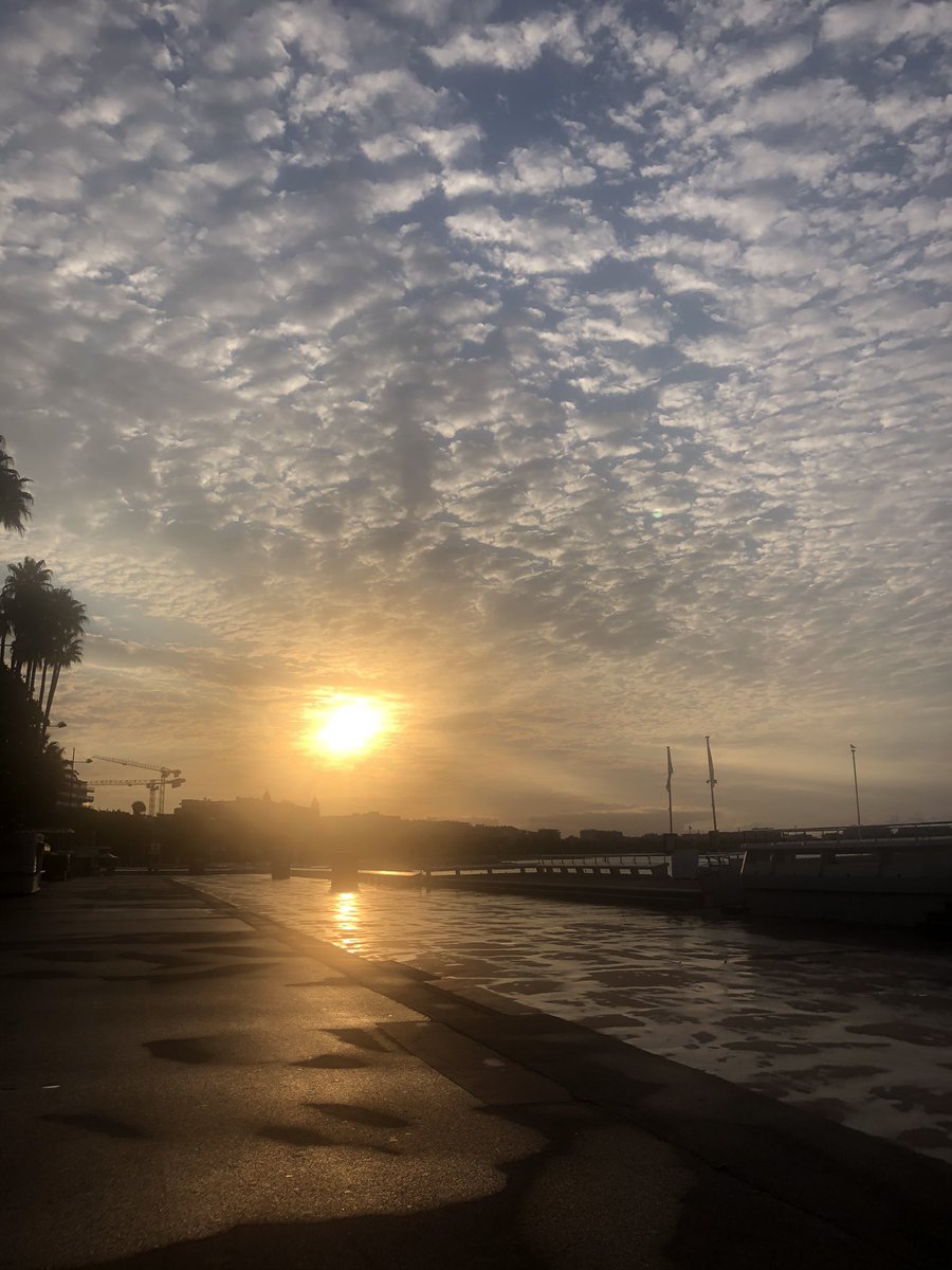 l_bottero's tweet photo. Un #jeudiphoto bleu clair qui rappelle qu’après la pluie, le beau temps... 💙 #Cannes #unmatin https://t.co/iXRFRm22h6