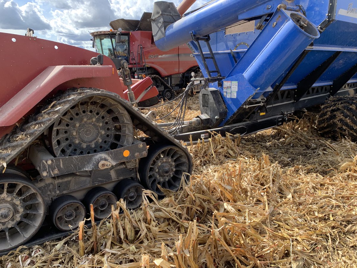 Early day corn 25-26%
P8989
#teamtracks