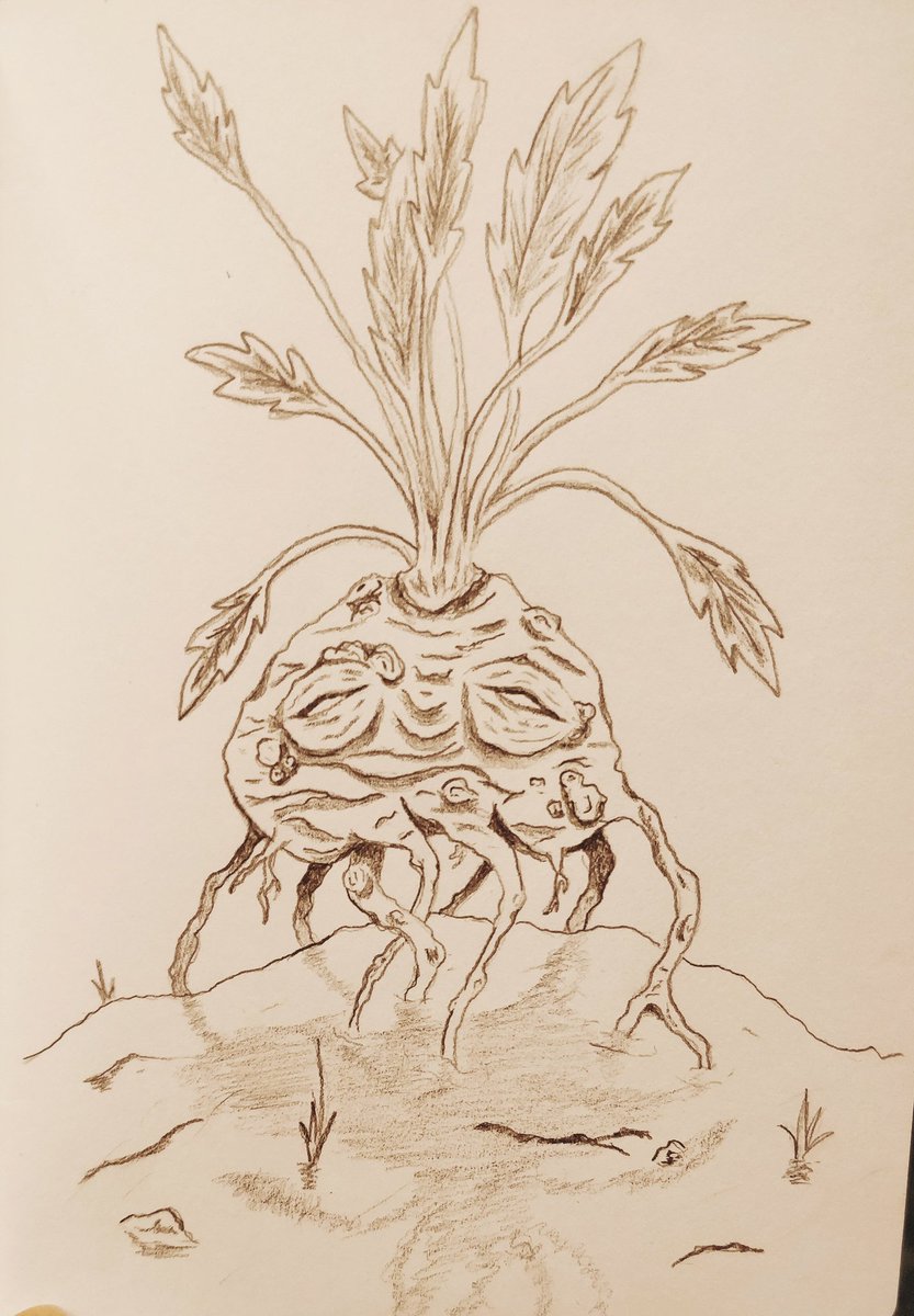 My hope is to draw 31 monsters/creatures for October. Here we go!

Day 1 - Turniped - friendly garden mimic type creature that will hide amongst other produce 

#drawtober2020 #drawtober #dnd #dndmonster #monsteraday #creature #spooky #spookyseason #art #pencil