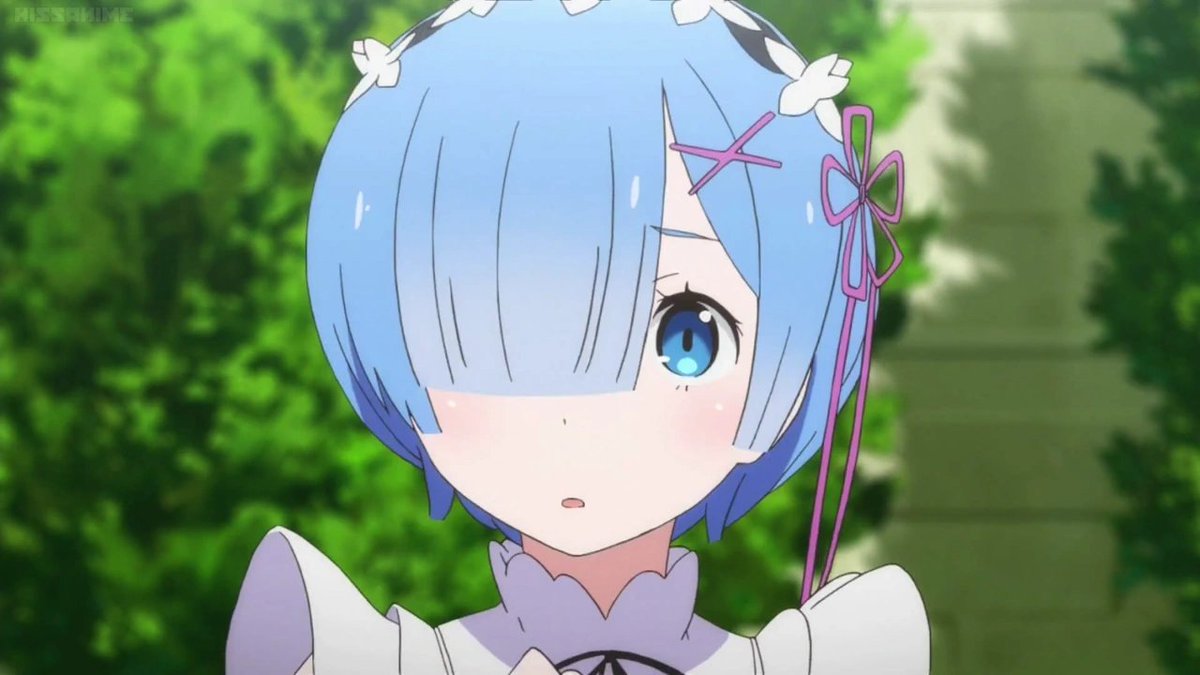 Your Opinion about Rem