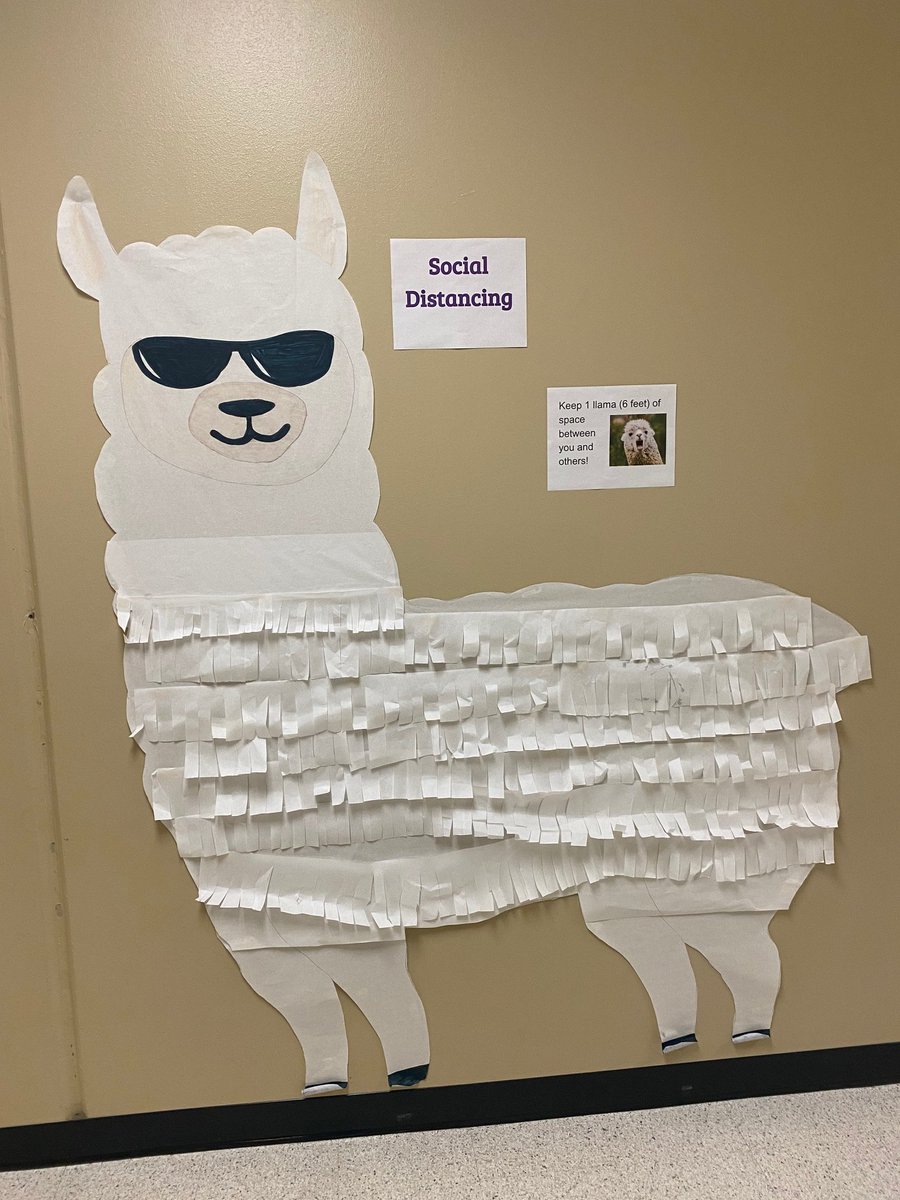supercorygibson's tweet photo. The staff and students are working hard at VCMS while embracing the changes that have confronted us this school year. The dedication and adaptability of the #VC262Family inspires me. https://t.co/juGQ52OKEL