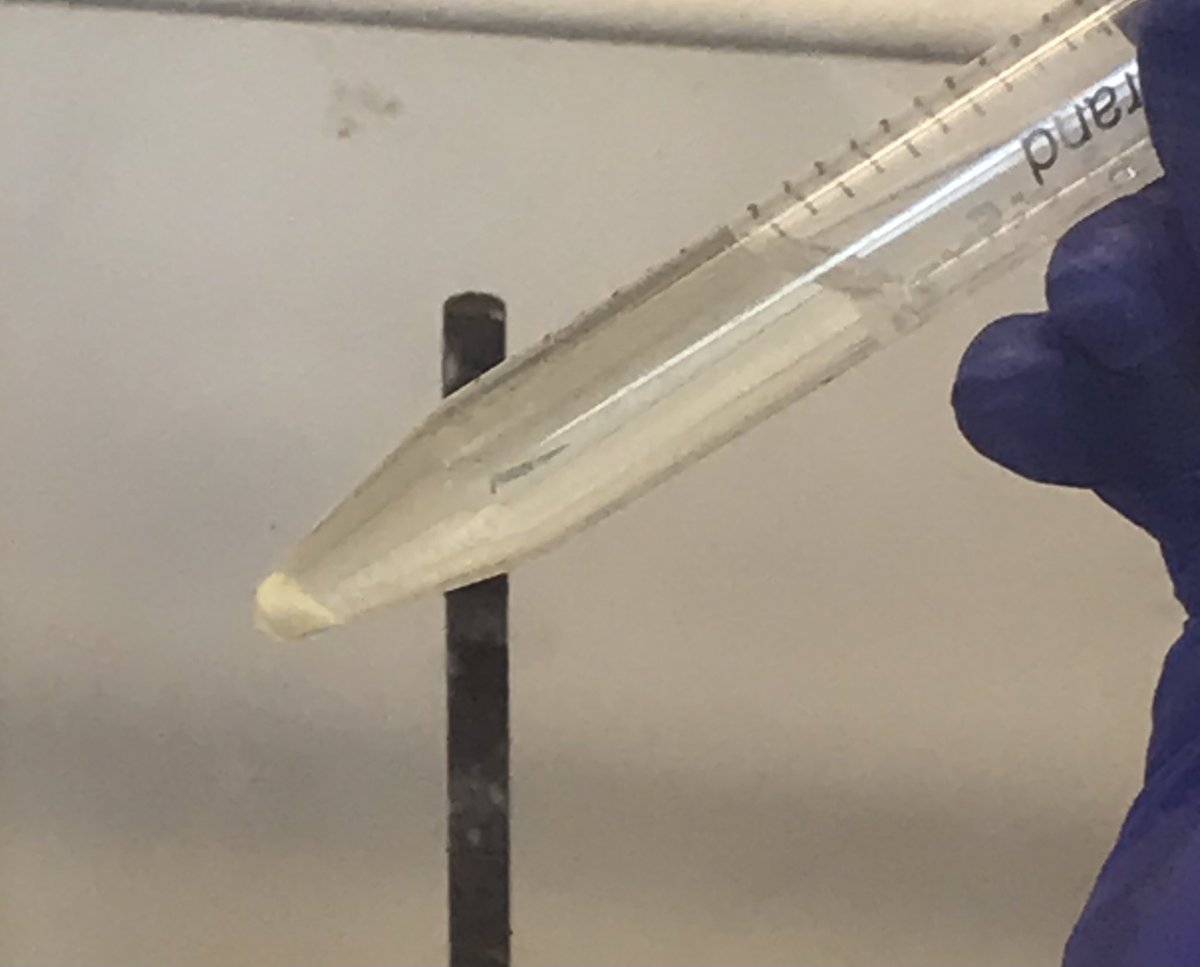 Jsperling91's tweet image. You might ask yourself “What’s that boring looking colorless solid? Is it alumina? Random organic compound? My favorite salt, KI?” Nah, its a curium compound and curium is a badass element named after a badass scientist #fblockrocks