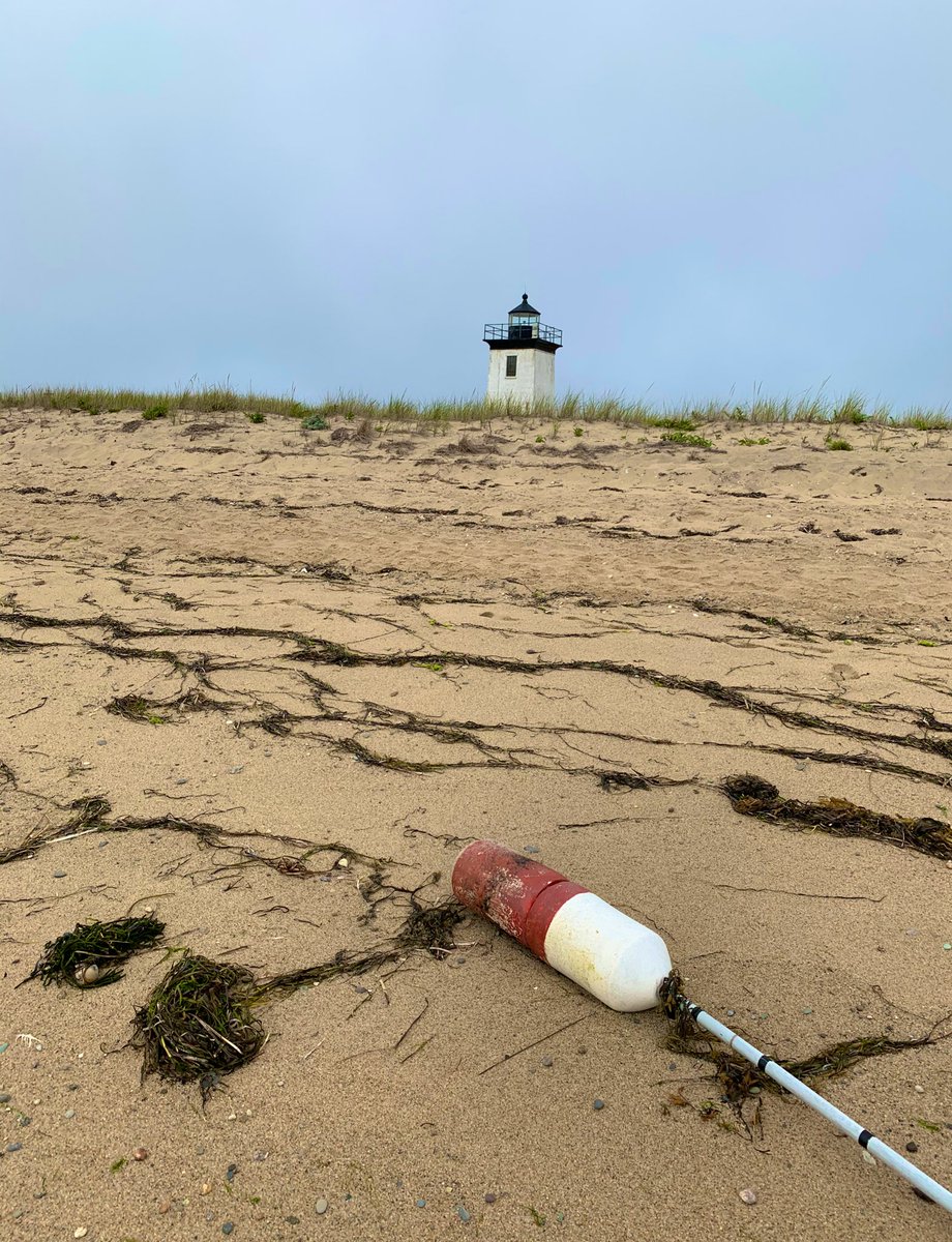 SashaEats's tweet photo. The Long Point Lighthouse is the most remote lighthouse within Cape Cod National Seashore.
#CapeCod #travel #TravelAgain #SashaInPtown #VisitMA #Ptown #Provincetown #CapeCodNPS https://t.co/INxG8rMsXh