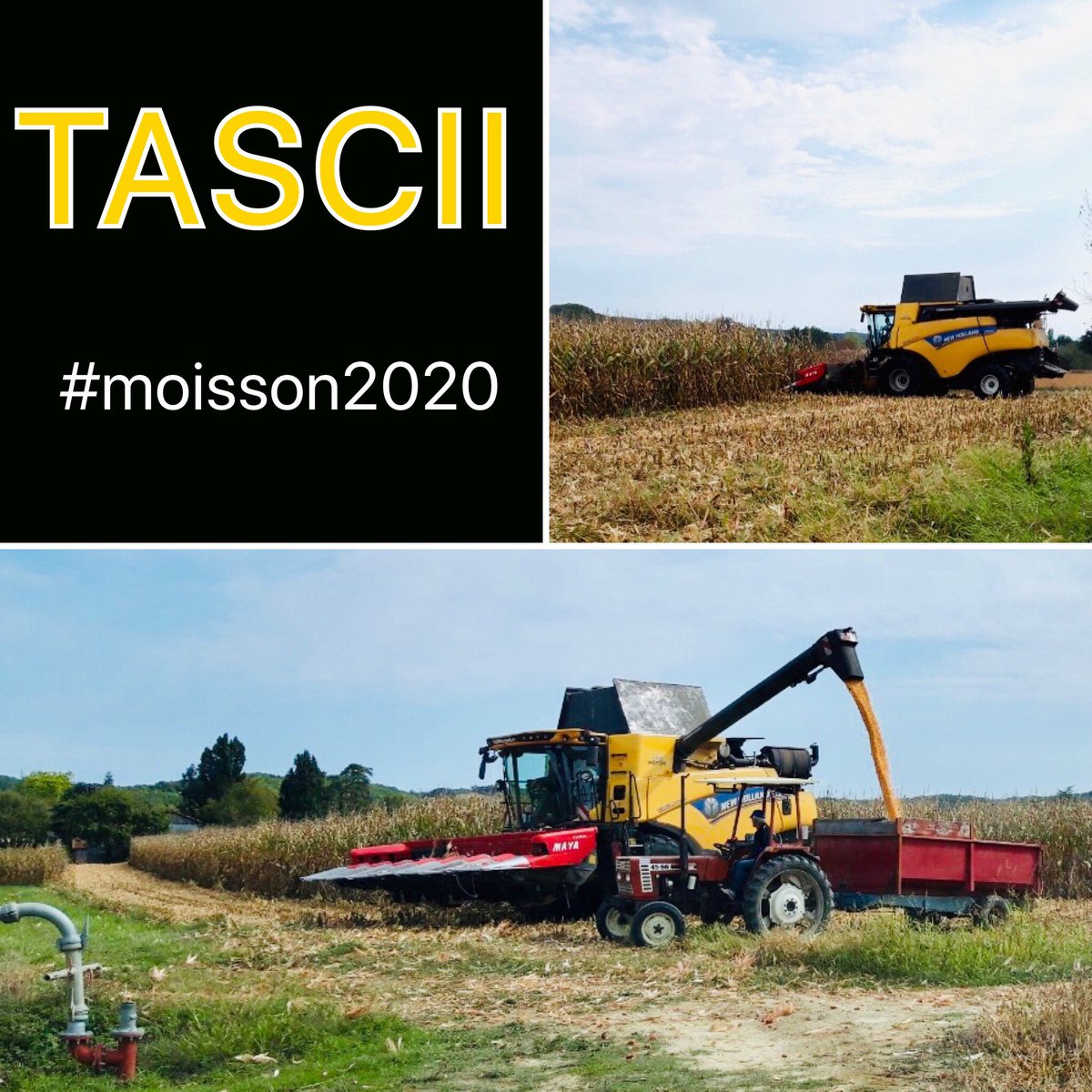 La_Mirandette's tweet photo. [#TASCII] Chez les Agri-Pilotes et @La_Mirandette c’est la #moisson2020 avant la 🌧 !
🔜 rendements réels VS PMG...
#maïs #SD #TCS #labour #irrigation #goutteagoutte #canon #ceuxquifontlesessais https://t.co/zzHsSWxwyq