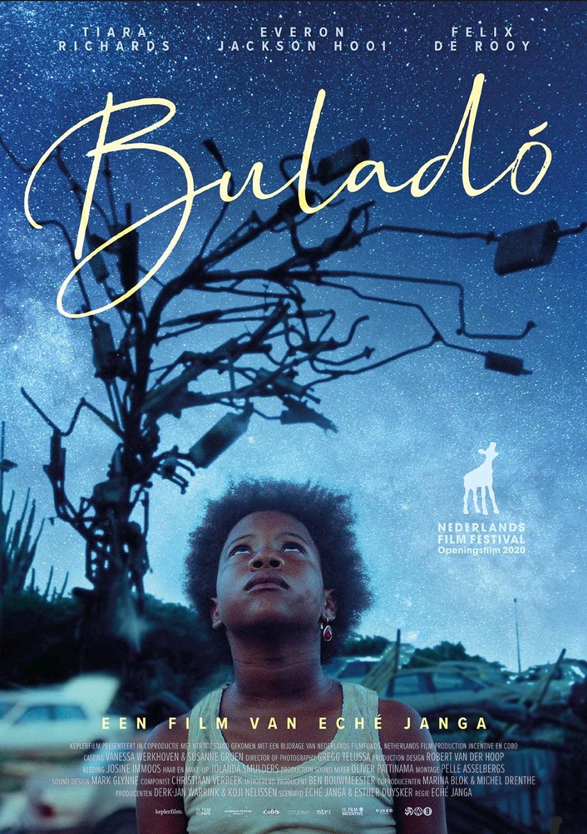#Buladó tells the magical-realistic story of a family. As the different mentalities of rational father Ouira and spiritual grandfather Weljo start to clash, eleven-year-old Kenza is determined to find her own path into adult life. 7/10