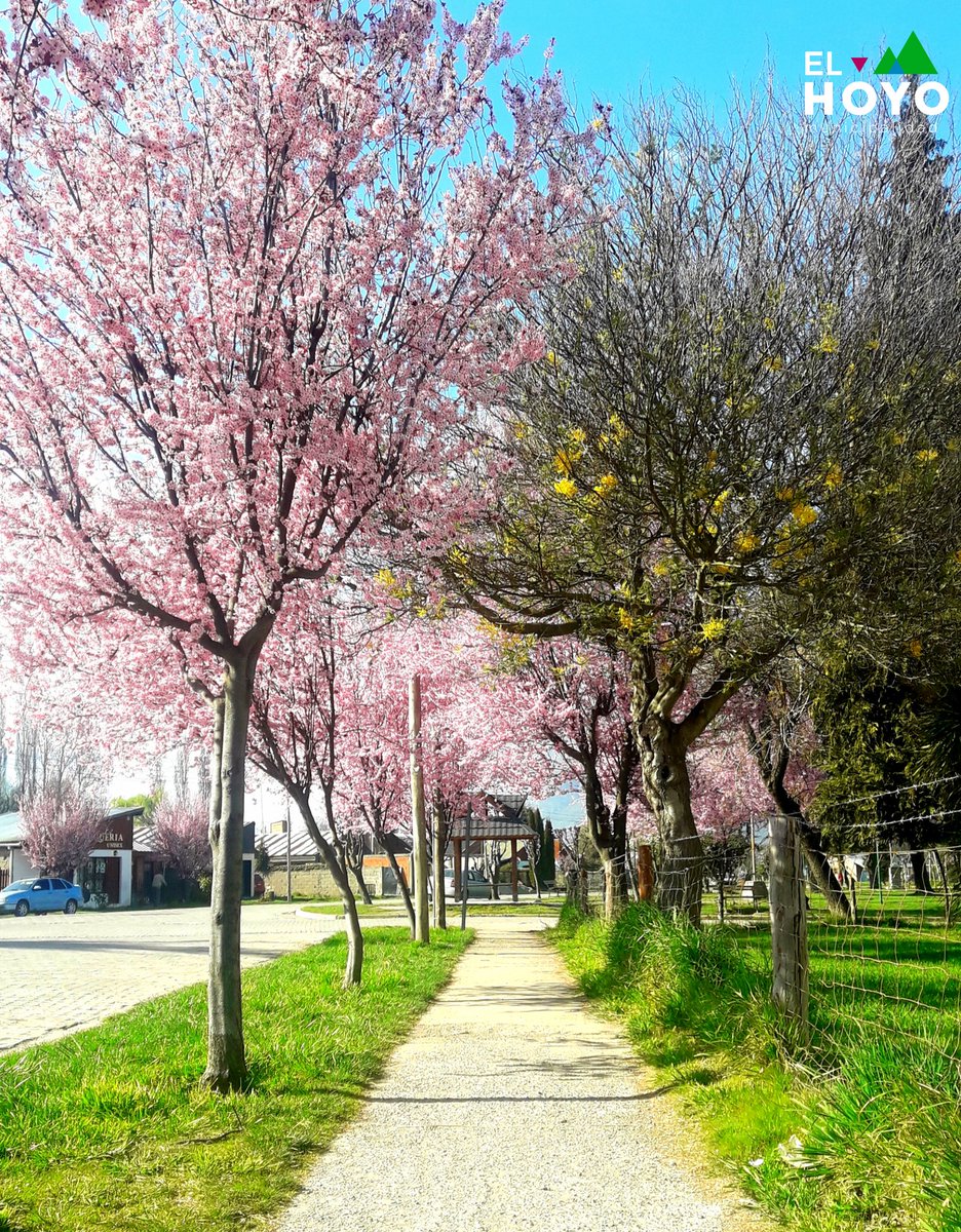 TurismoElHoyo's tweet photo. Transitando la Primavera 😍🌸🌼
.
.
.
#CuidarseEsCuidarnos
#QuedateEnCasa
#CuidateParaVolverAViajar #LaNaturalezaTeEspera
.
.
.
#ElHoyo #TurismoElHoyo #CorredorDeLosAndes #ChubutEsTuViaje #patagoniaargentina #LugaresPorDescubrir #surargentino
#respiraargentina #travel #argentina https://t.co/6kNANB0rBT