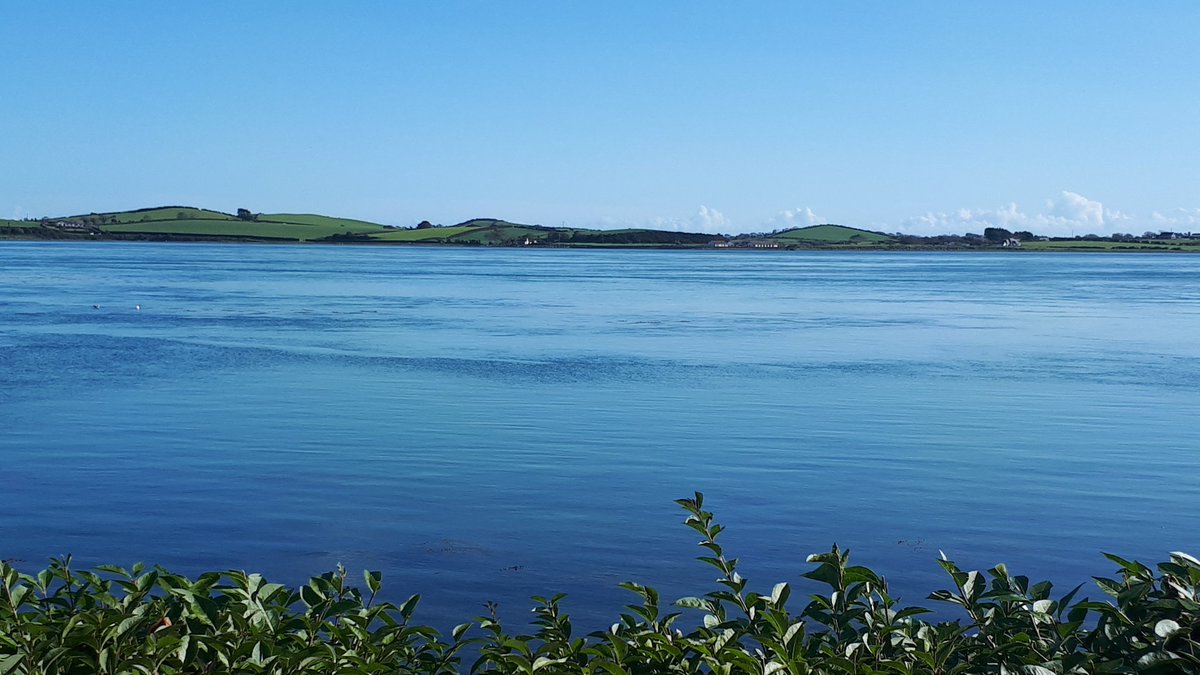 TownlandTours's tweet photo. #KilcliefCastle built approx 1440, near #Strangford village.

Sunny shoreline at Cloghy rocks watching the #CommonSeals.

#Townlandtours #DiscoverNI 
#EmbraceaGiantSpirit #NITGA https://t.co/AXMgzucjIH