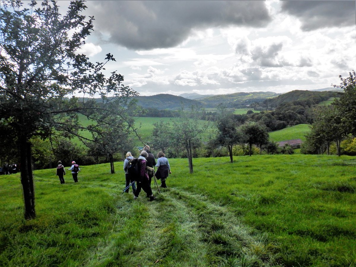 Duncan_Smart1's tweet photo. Thurs 1st Oct an enjoyable 7 mile #Herefordshire / #Worcestershire circuit with @lrcwalks in good weather and great views from Whitbourne along the Sapey Valley, Lamb Green, past Ayngstree Farmhouse, down to Teme Side and back to the start. YTD 892.5 miles of #walk1000miles https://t.co/AtbHw6YVho