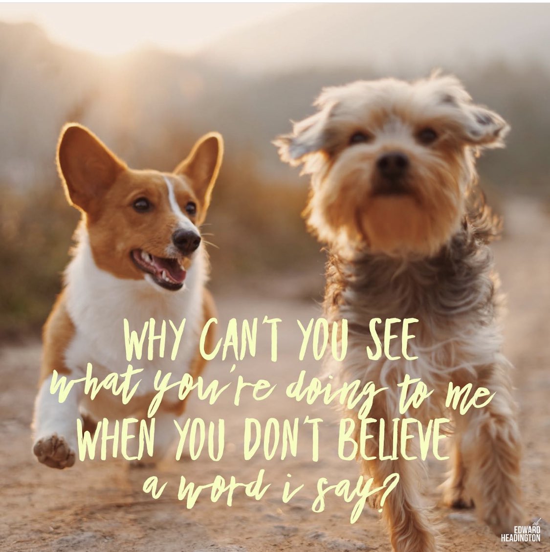 Why Can’t You See ... 🐕💔🐕

#suspicious #suspiciousminds #elvis #elvispresley #music #song #songs #songquotes #1960s #60s #fromelvisinmemphis #markjames #chipsmorman #quote #quotesaboutlife #quotes #dog #dogs #doglover #doglovers