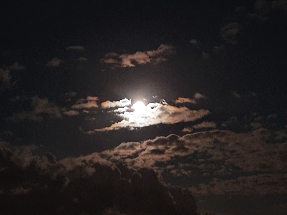 EbacNorthernLge's tweet photo. Tonight's attendance is 105 on a lovely moonlit evening.
#LiveENL #EASvRED #ENLCrowds https://t.co/5AePyJhUQp
