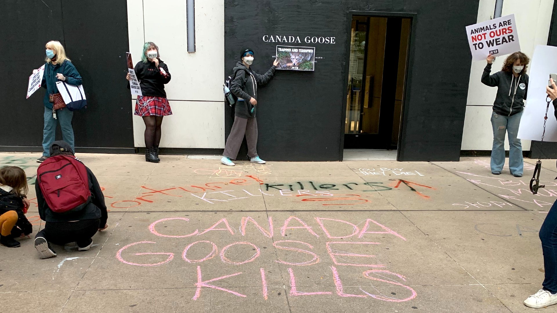 PETA on X Activists in Chicago covered the sidewalk in front of canadagoose with a warning for passersby CANADA GOOSE KILLS. https t cowair7OrE X